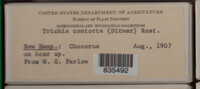 Image Associated With the Occurence